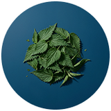 Dandelion Root + Nettle Leaf